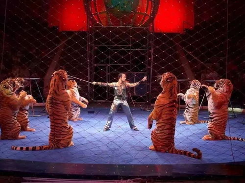 門票免費送 風靡全球的皇家環球大馬戲來啦,一家人玩到嗨