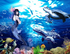 北京富國海底世界雙節特惠海獅門票北京富國海底世界門票團購 特價特賣 旅游打折 驢媽媽旅游團購