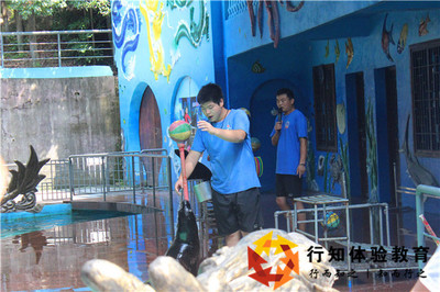 常州中宏2018百草園歡樂拓展(補)