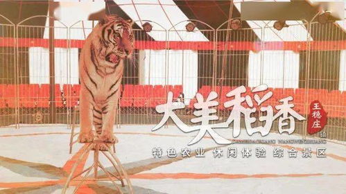 福利 10張公園門票免費送,還不趕快來搶