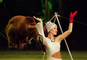 實拍英國大馬戲團驚艷演出圖片