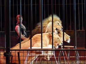 狼圖騰 的狼,到底能馴不能馴