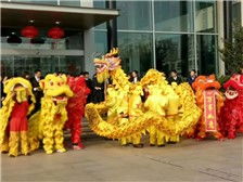 上海 醒獅堂 專業(yè)舞龍舞獅表演團隊產(chǎn)品展示