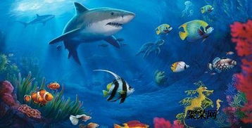 正規(guī)海洋生物展示美人魚魚缸表演租賃海獅表演出租公司