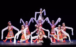 匈牙利華星藝術團應邀參加 2018親情中華 重慶文化周活動 人偶洗衣舞 彼岸花開 贏得熱烈掌聲 表演