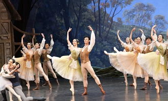 拉緊中朝友誼的文化紐帶 記中國藝術團訪問朝鮮之行