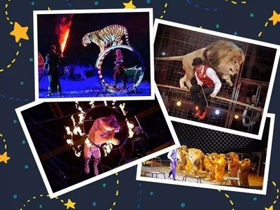 2021皇家大馬戲空降香河!雜技、魔術(shù)、馴獸、逛夜市,玩游樂(lè),吃美食,看馬戲!