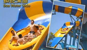 音樂節(jié)盛宴7月8日繼續(xù)上演,戲水狂歡,無國界,放肆野