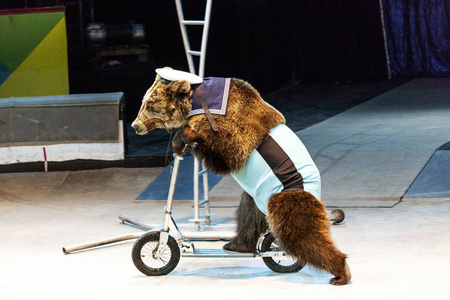 馴獸師,熊騎自行車.馬戲團表演