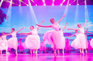 飛舞的童年 小白鷺——江西省少兒舞蹈精品展演圓滿落幕