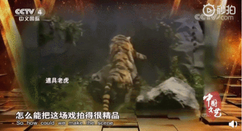 98版《水滸傳》武松打虎真相 馴獸表演背后的驚險拍攝與網友熱議